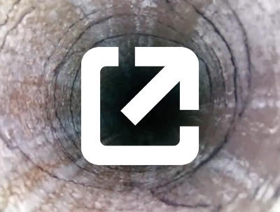 Borhole Video Original Aspect